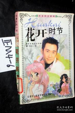 疯狂方块圣诞节