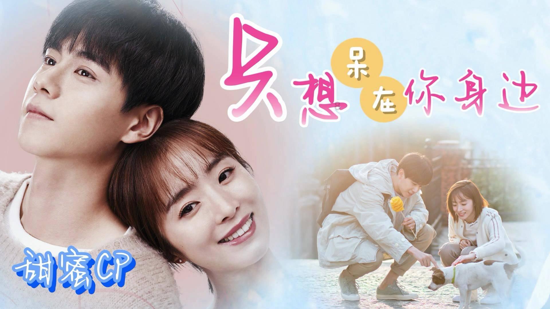 饥饿的松鼠救援